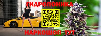 гашик Изобильный