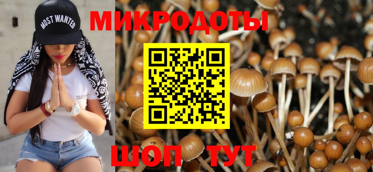 Галлюциногенные грибы мицелий  Галлюциногенные грибы Magic Shrooms  Вход с VPN  Южно-Сахалинск 